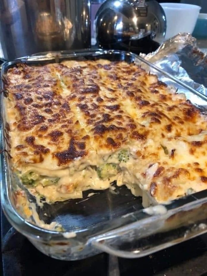 Chicken and Broccoli Lasagna Recipe