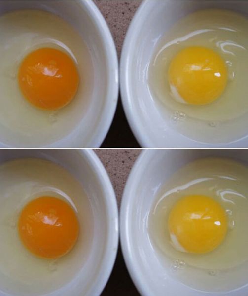 Here’s What Happens To Your Body When You Eat Two Eggs A Day. I Never Thought About Amazing!