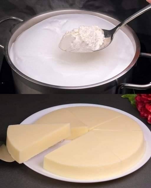 Homemade Cheese