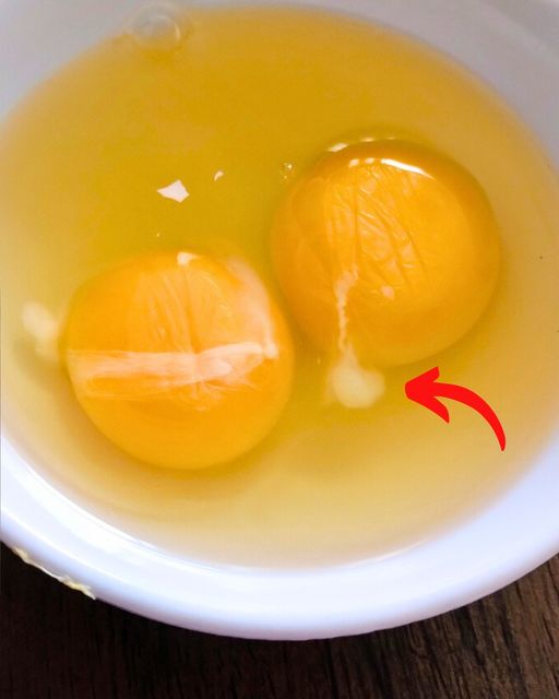 What’s That White Stringy Thing in Your Egg, and Should You Remove It?