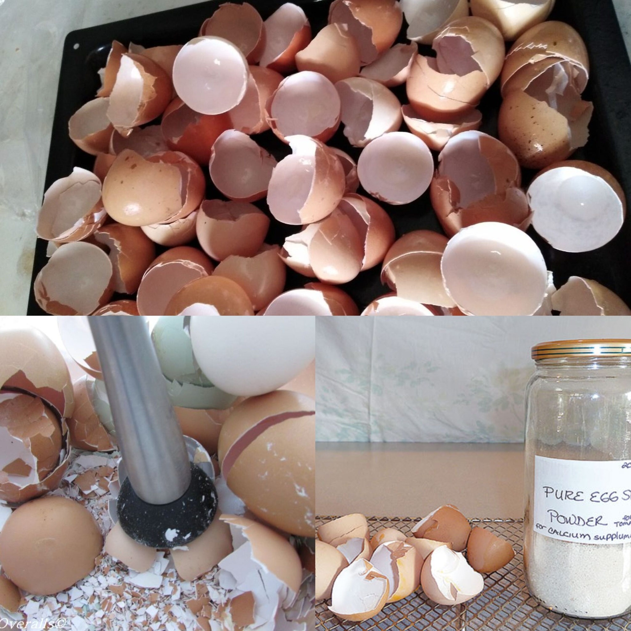 Eggshells: My Mother Could NOT Walk Because of Pain in Her Knees and Bones Until She Tried This!