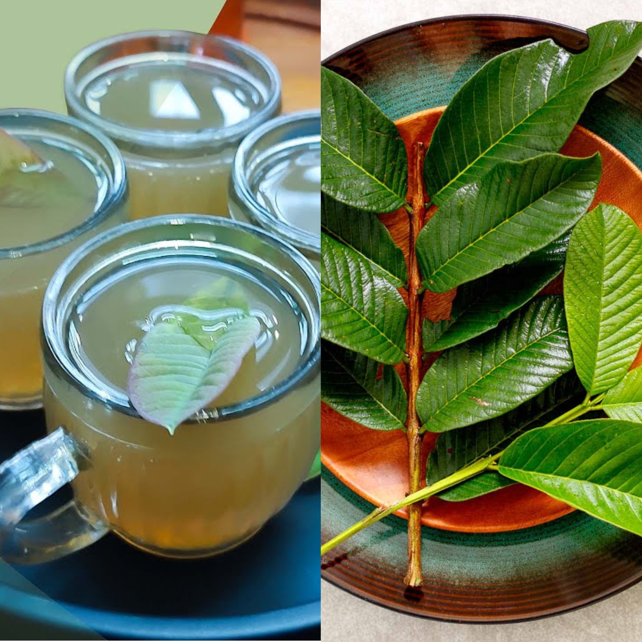 Guava Leaf Tea Recipe: Simple and Health-Boosting