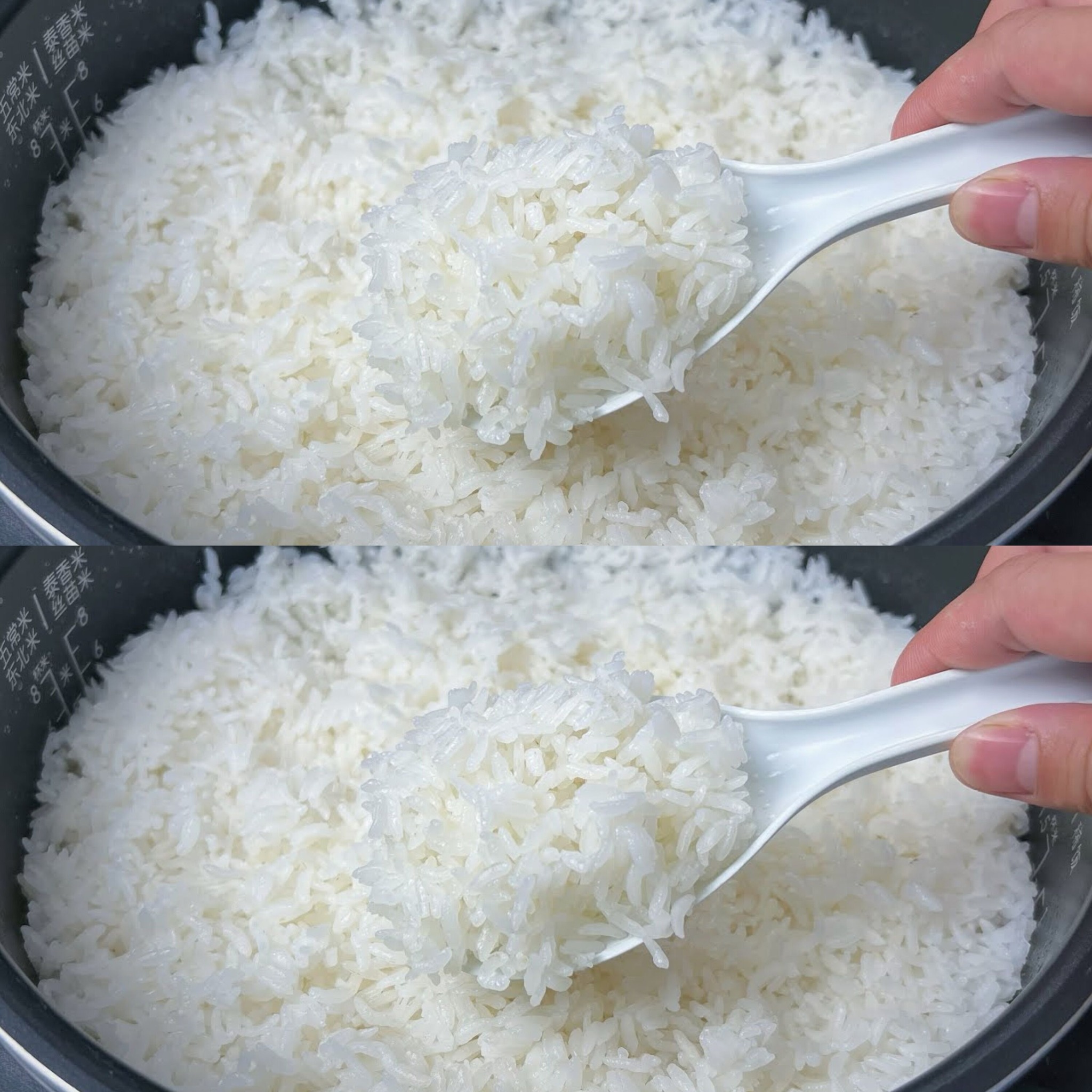 It’s a Big Mistake to Only Add Water to Cook Rice! Let Me Teach You the Secret that Hotels Use for Perfect Rice ✨