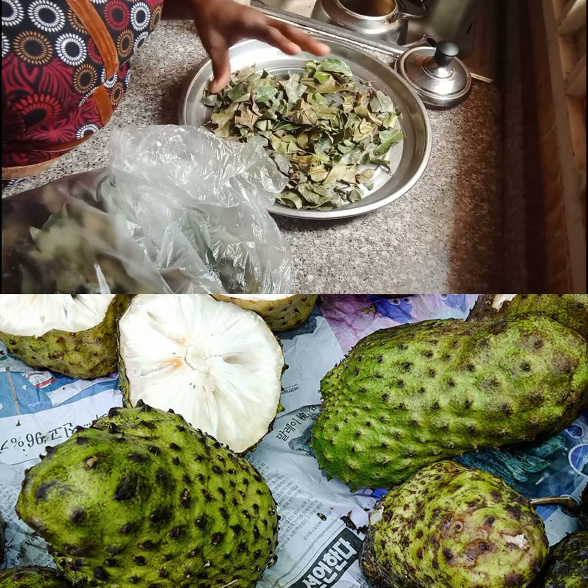 How to Make Soursop Leaves for Tea (Did You Know That?)