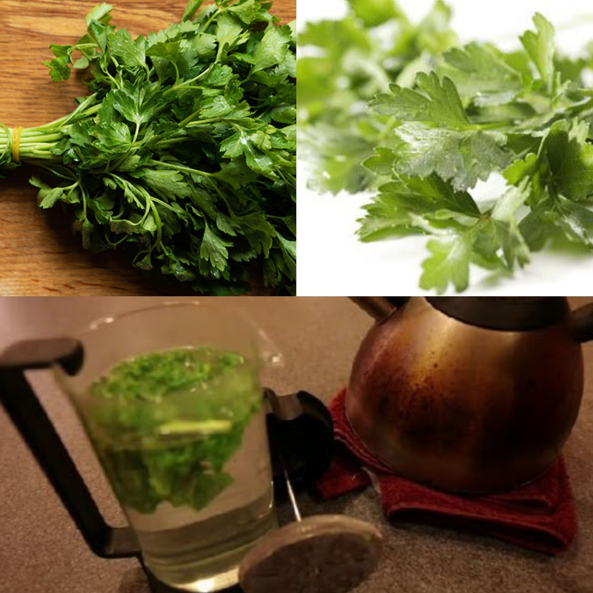 How to Make Parsley Tea with Fresh Parsley: Tea Time