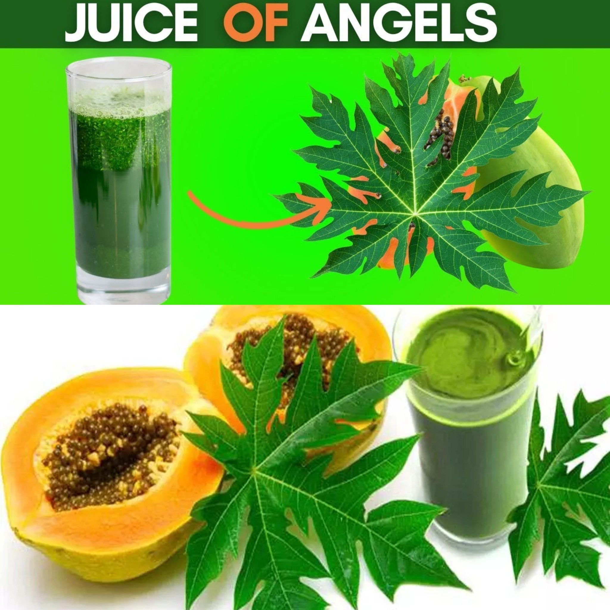 8 Incredible Health Benefits of Papaya Leaf Juice