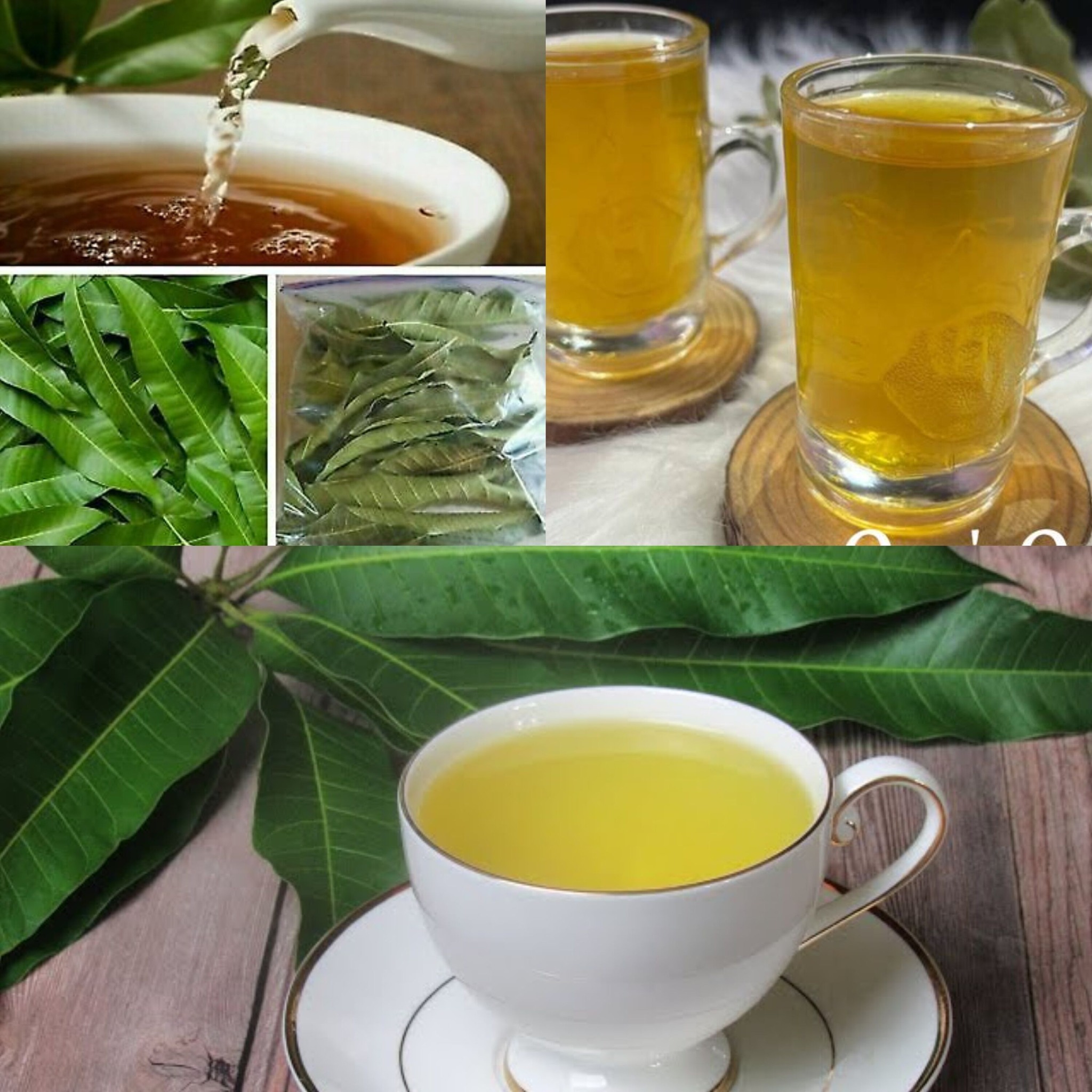 Mango Leaf Tea and Its Health Benefits