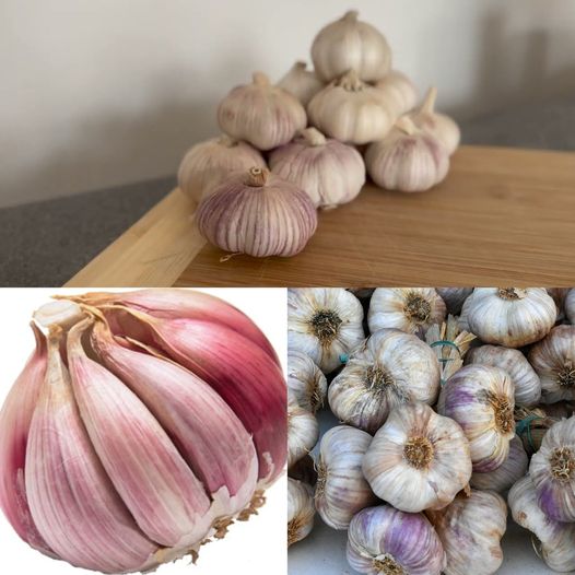 Keeping Garlic Fresh: A Simple Trick for Long-Term Use