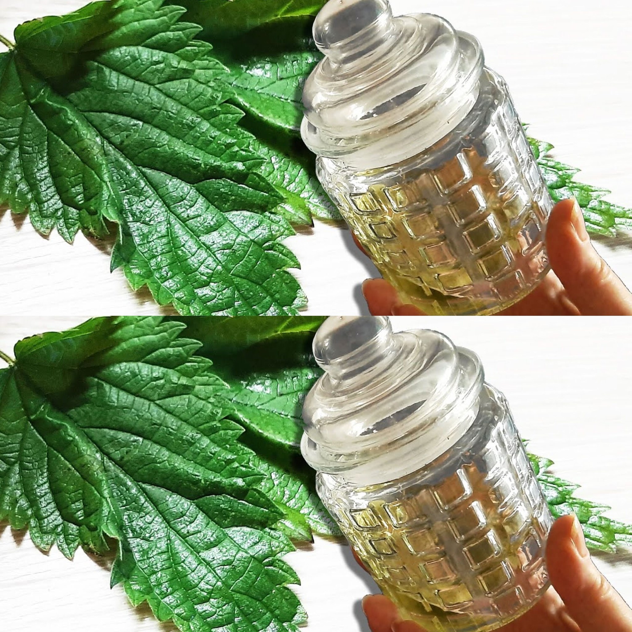 Mix Nettle with Oil for Bone and Joint Pain: You Will Be Surprised at the Result!