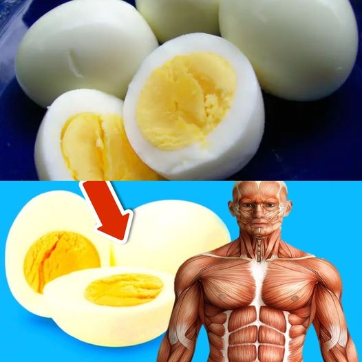 What really happens when you eat 2 eggs every morning for 1 month (surprising)