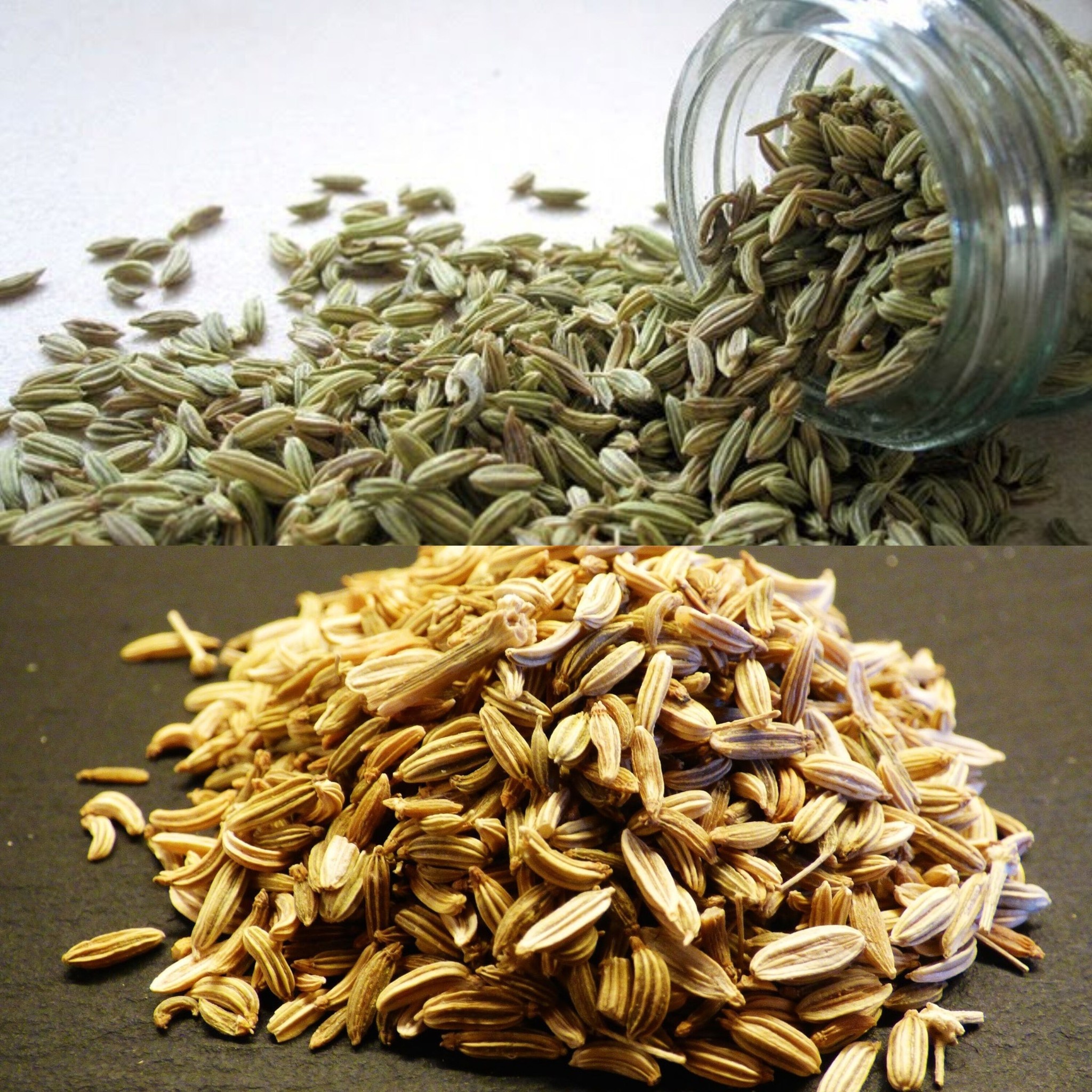 7 Reasons to Chew Fennel Seeds Post-Meal