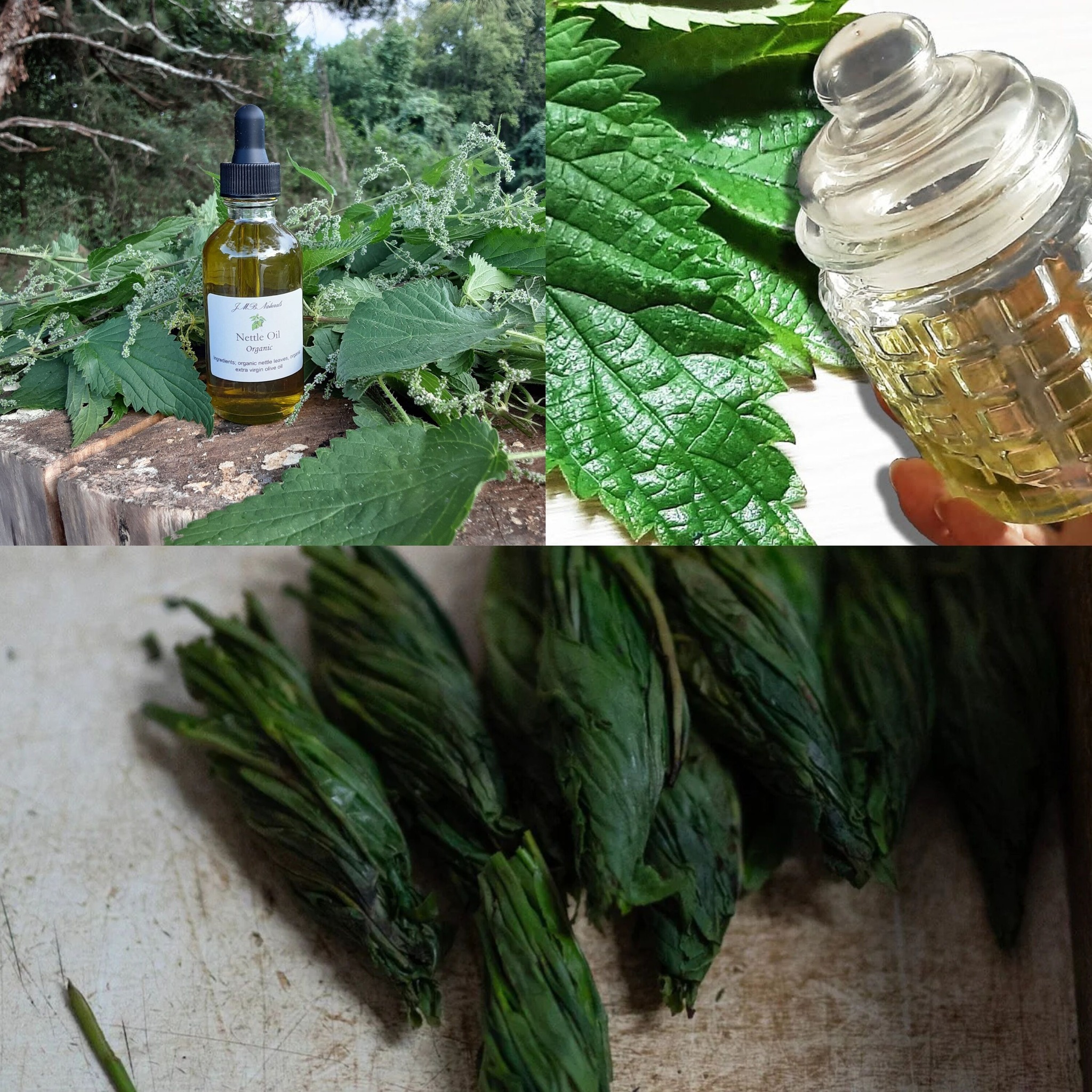 Mix Nettle with Oil for Bone and Joint Pain: You Will Be Surprised at the Result