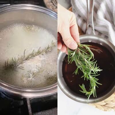 Unlocking the Magic of Rosemary in Just 5 Minutes