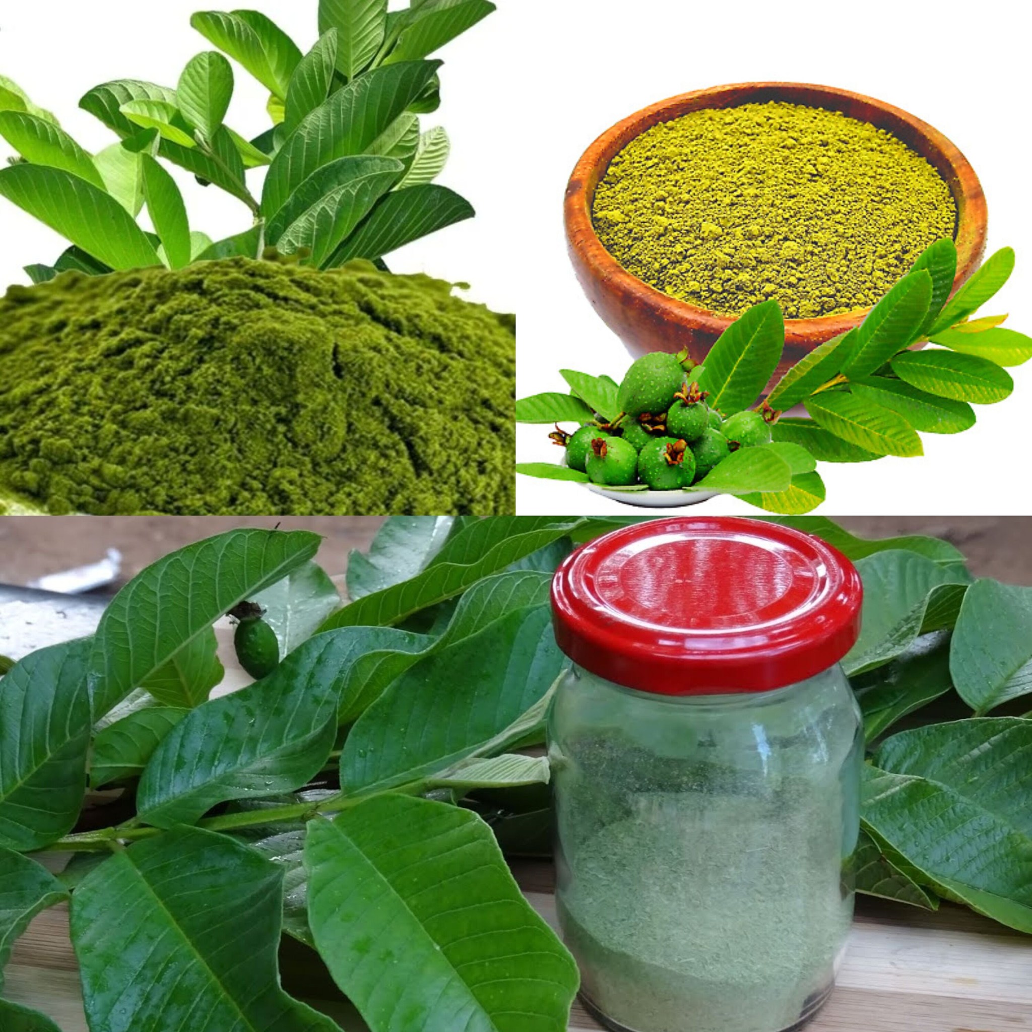 How to Make Guava Leaves Powder