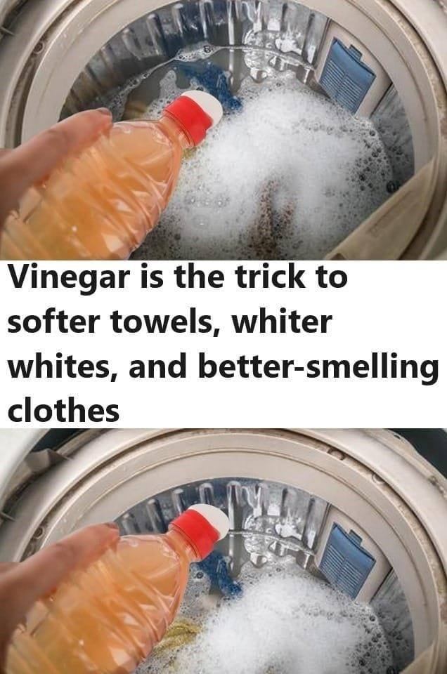 My Clothes Were Never Pure White and Fresh Smelling After Washing, Then My Neighbor Told Me This Trick!