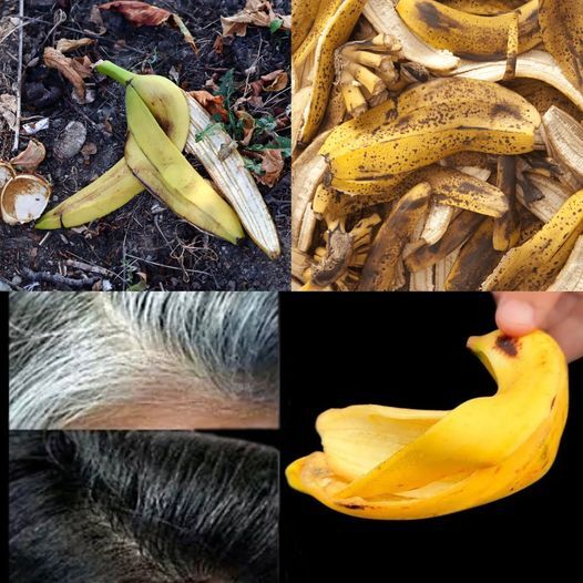 Discover the Japanese Beauty Secret: Banish Gray Hair and Boost Hair Growth with Banana Peels