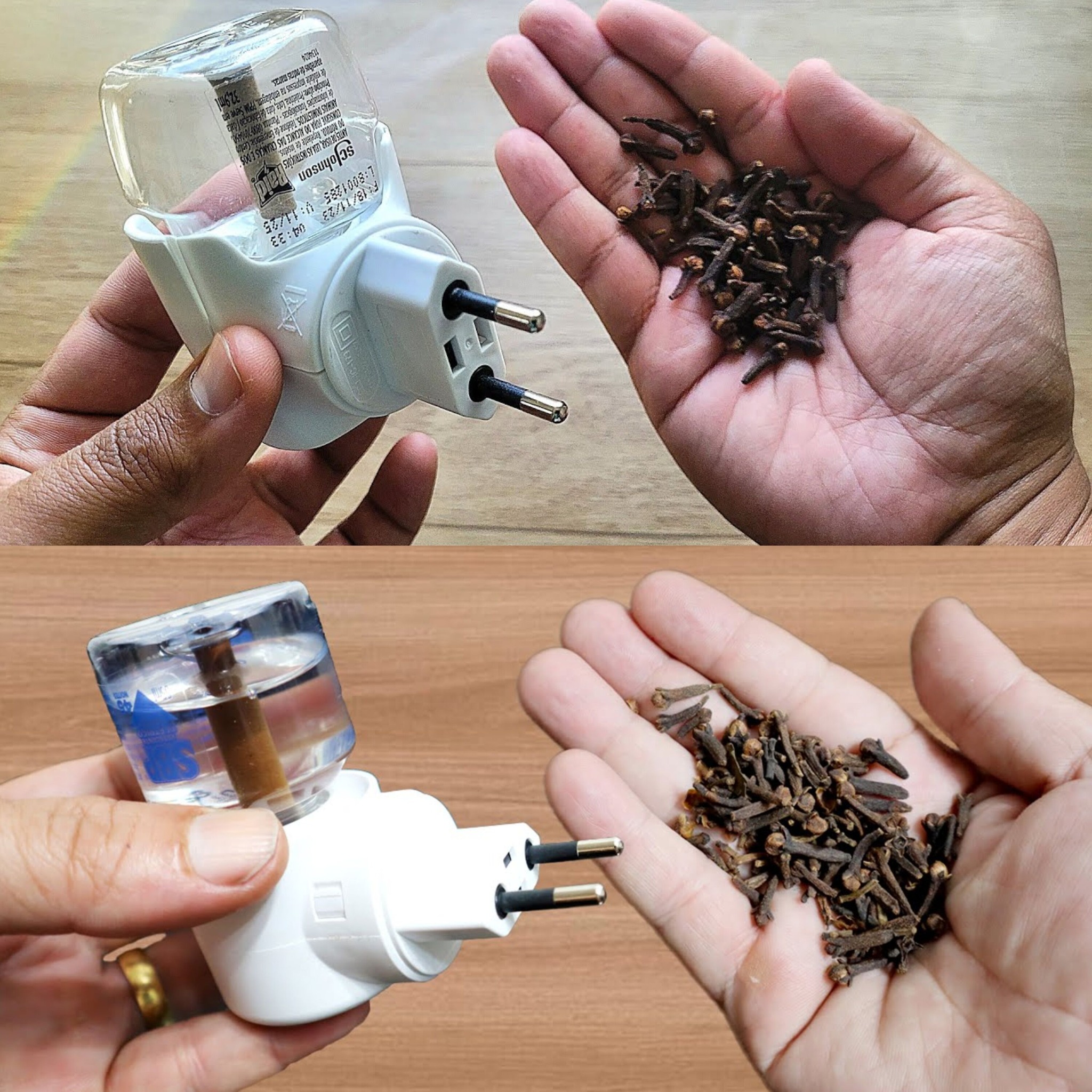 Just Put Cloves in an Empty Raid Dispenser to Never Suffer from Mosquitoes at Home Again