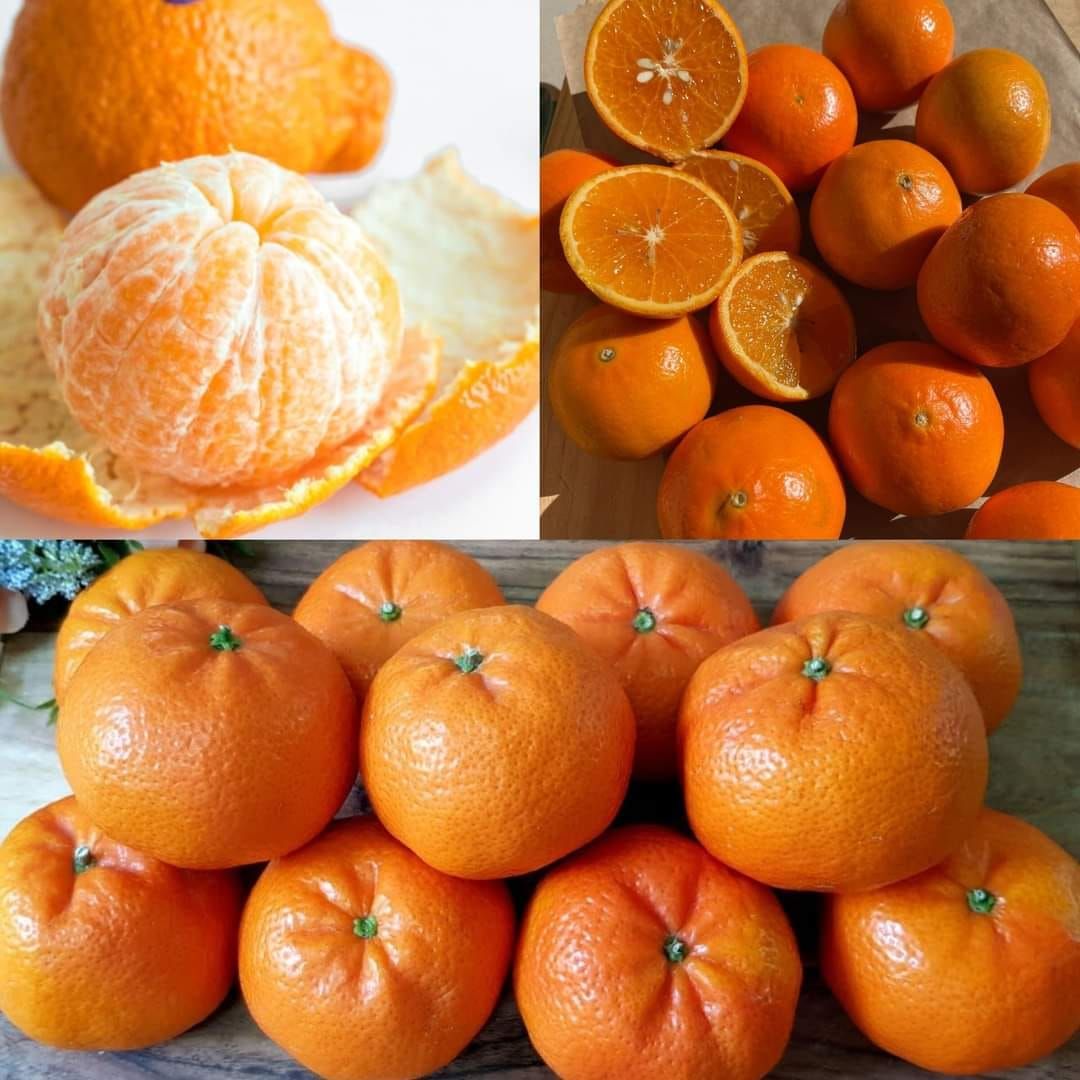 Clean Kidney, Liver, and Lungs with Mandarins: The Natural Bacteria Killer