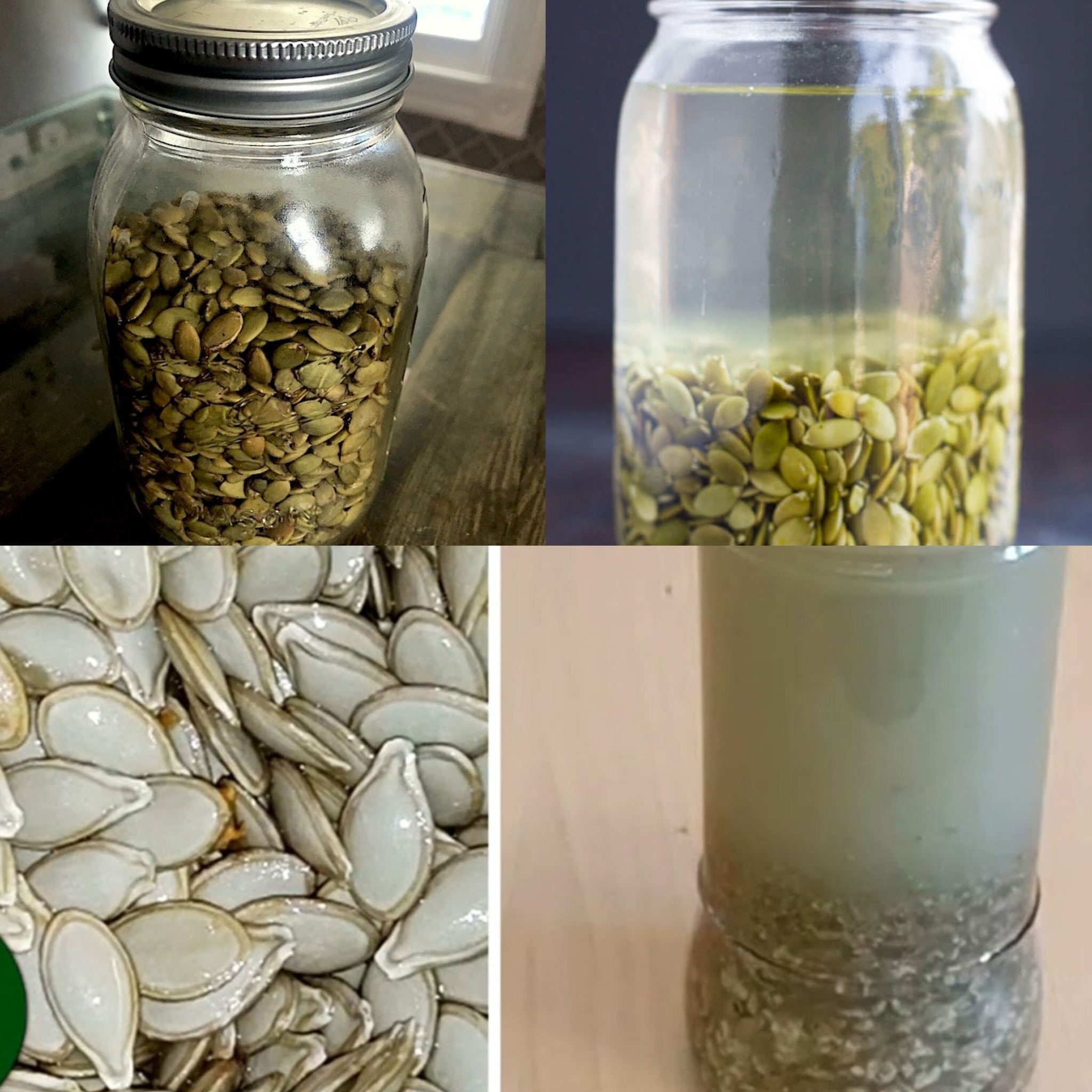 Famous Doctor Recommends: Pumpkin Seeds in Water to Combat Parasites