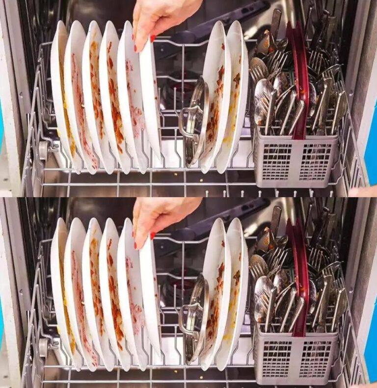 Don’t do it again: the mistake that everyone makes with the dishwasher