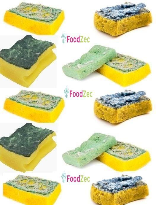 Old sponges, don’t throw them away: “they’re worth gold” | I always use them like this in the garden