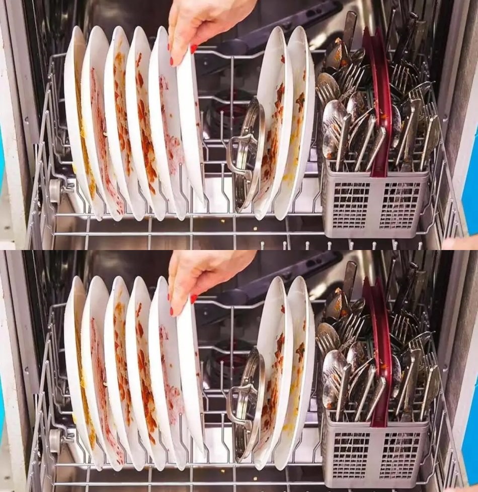 Never do this again: the dishwasher mistake that everyone makes