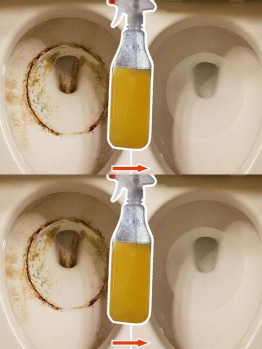 Super clean toilets: remove yellow stains and limescale, disinfect them and perfume them with 1 ingredient