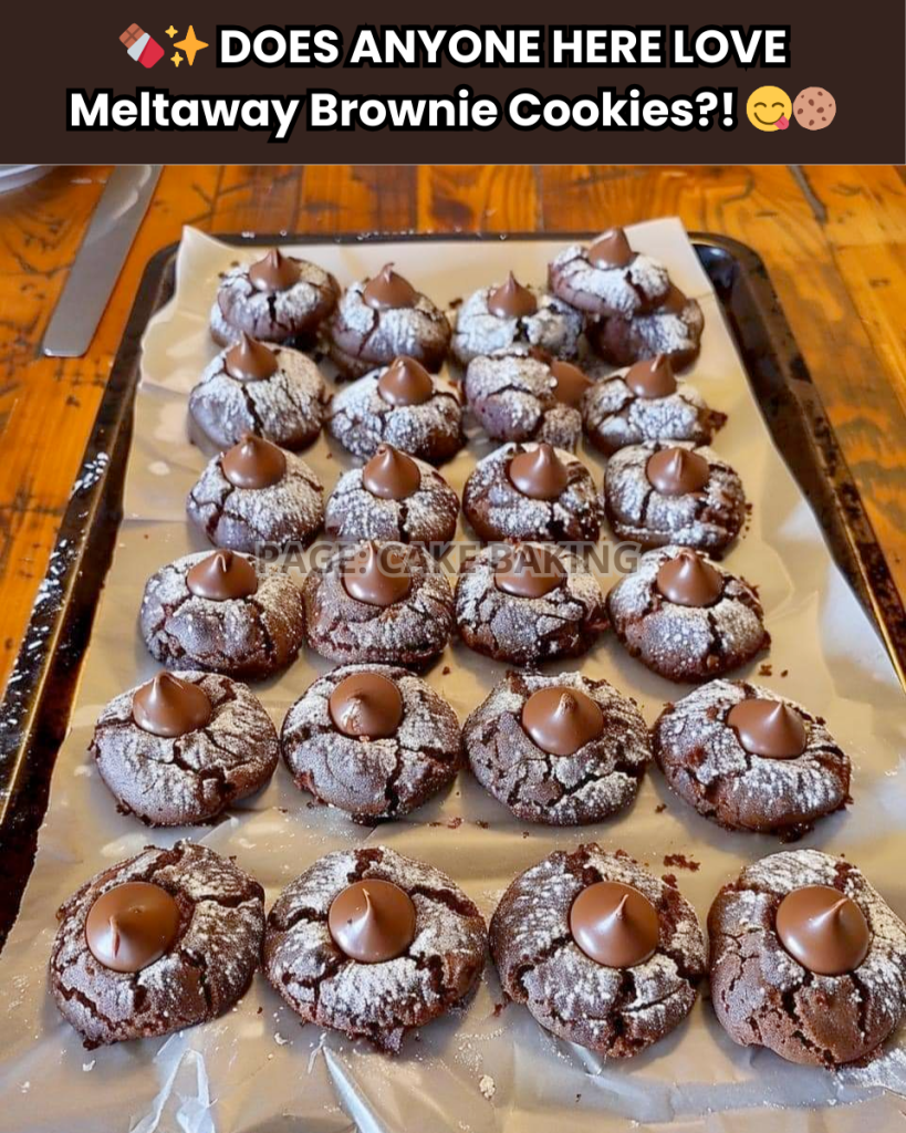 Meltaway Brownie Cookies – Tasty Recipes