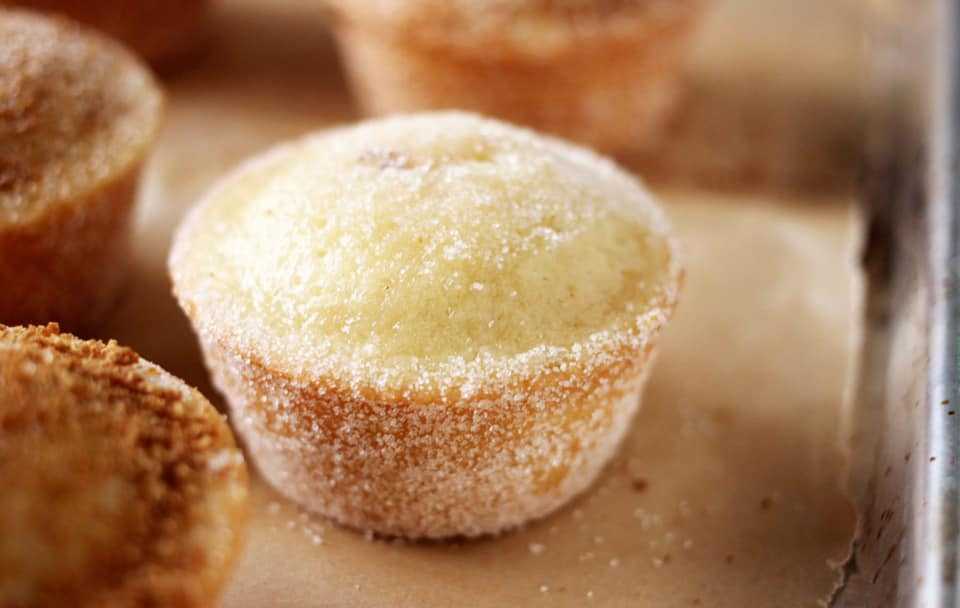 MUFFINS THAT TASTE LIKE DOUGHNUTS RECIPE