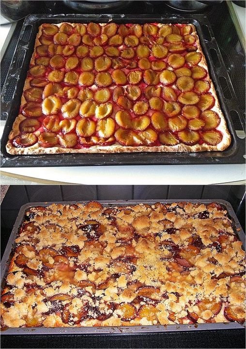 Plum cake from the tray in 10 minutes in the oven