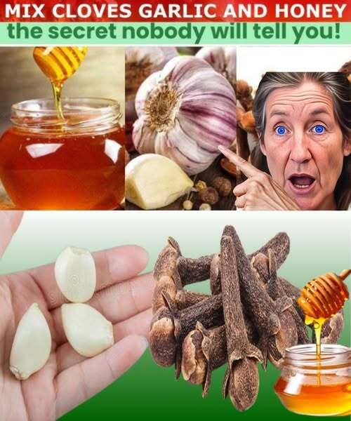 The Health Benefits of Mixing Garlic, Cloves, and Honey: A Natural Remedy for Wellnes