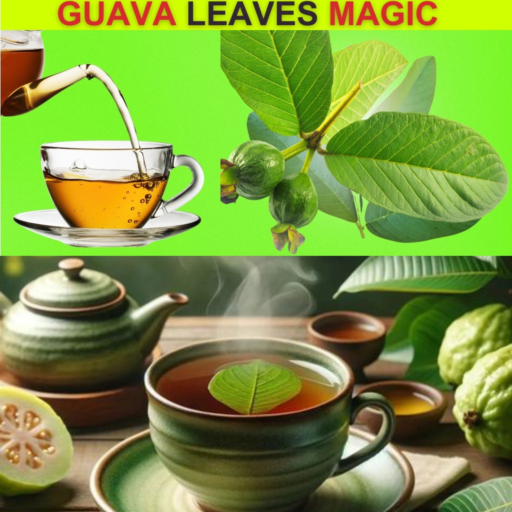 Incredible Benefits of Guava Leaves – 11 Reasons to Drink Guava Leaf Tea!