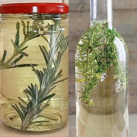 Discover the Power of Rosemary and Wine for a Healthy Heart