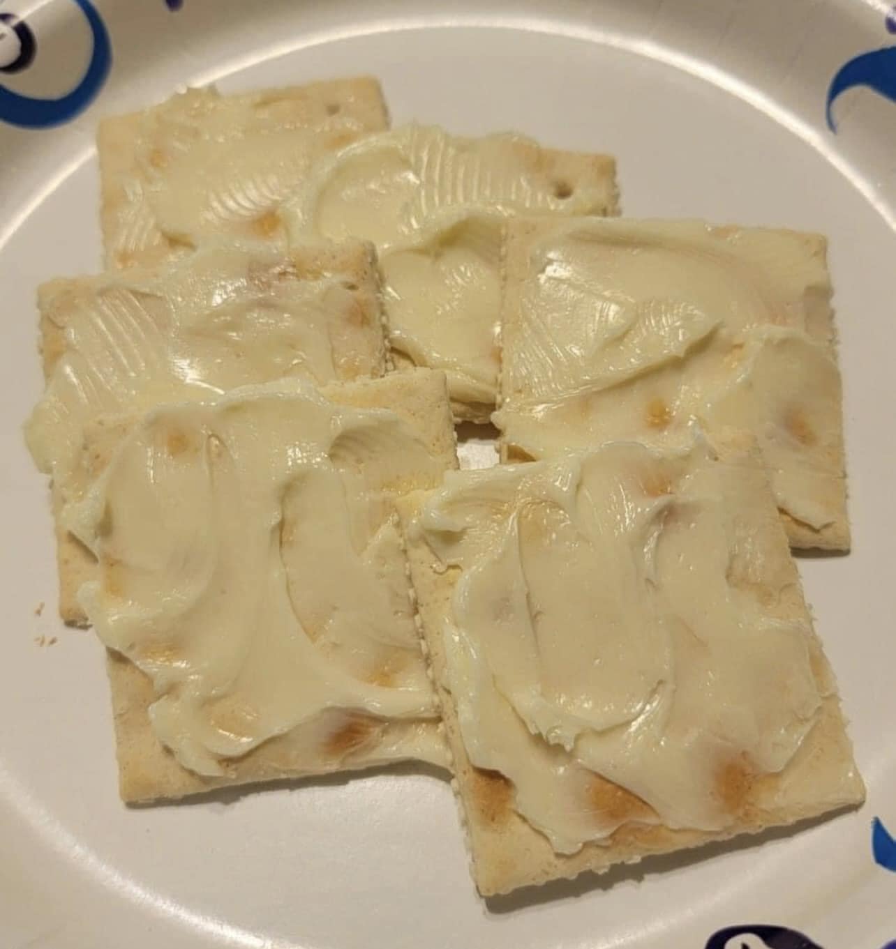 Saltine cracker