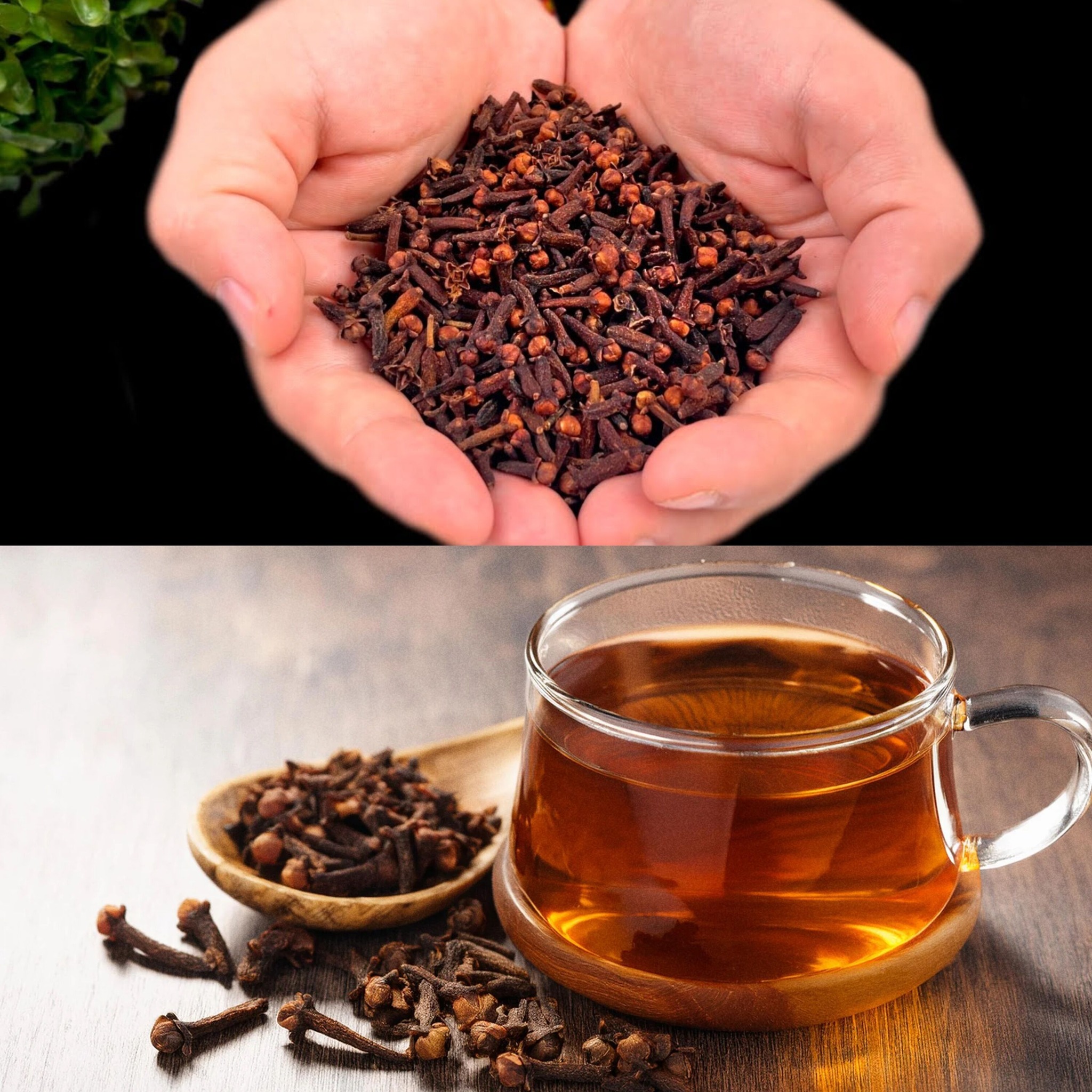 The Remarkable Benefits of Clove Tea: A Glass a Day for Clear Vision and a Clear Mind