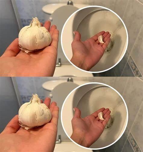 The Extraordinary Benefits of Throwing a Garlic Clove in the Toilet Before Bed