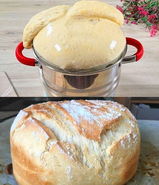 My husband doesn’t want to buy bread anymore, eat yourself stupid bread in 5 minutes