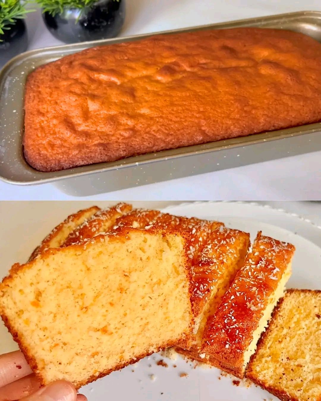 Orange Cake with Honey and Coconut