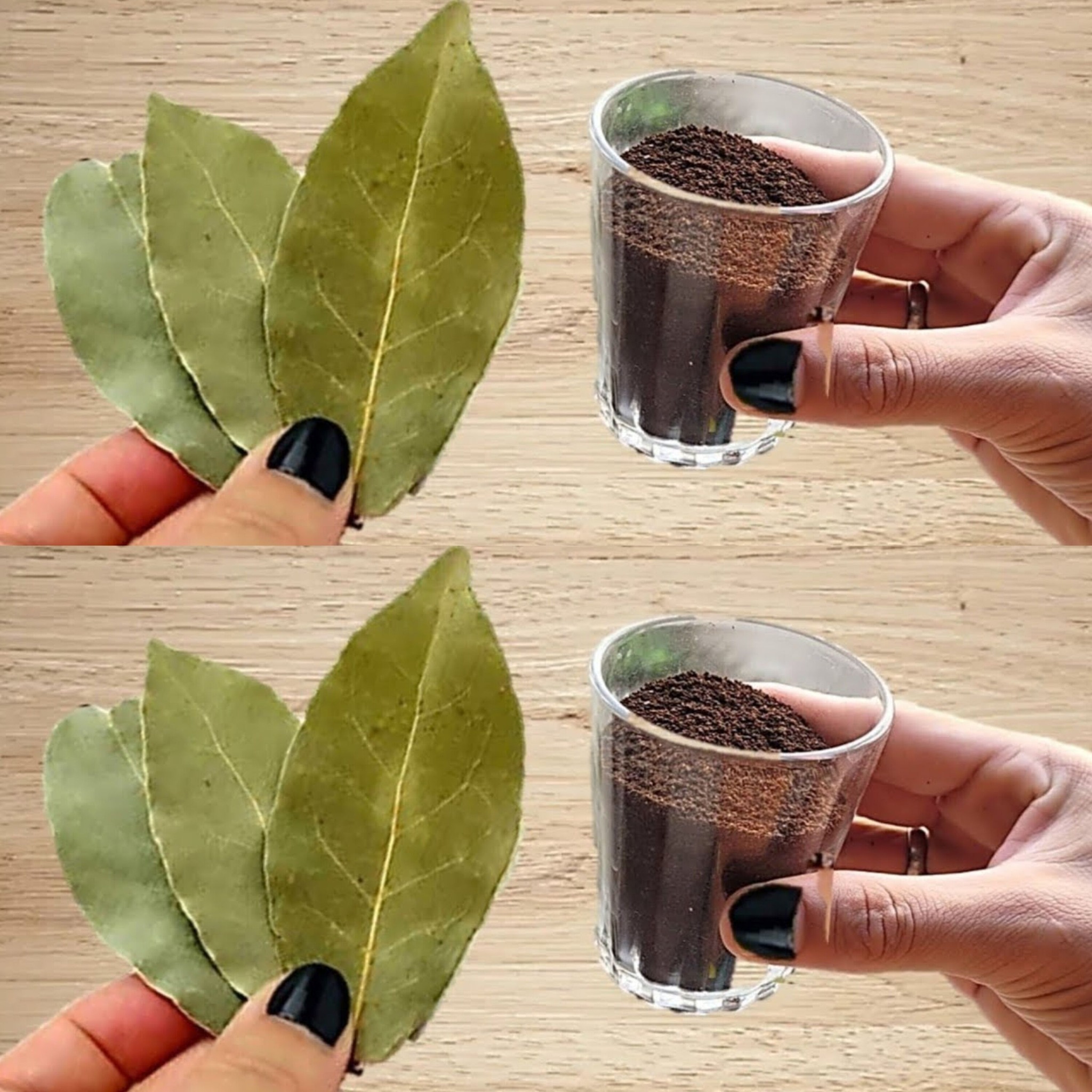 I Was Dying and Didn’t Know It: Just Mix Coffee with Bay Leaves and You Won’t Need to Spend at the Market Anymore!