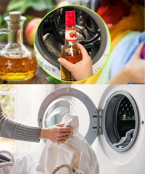 APPLE CIDER VINEGAR IN THE WASHING MACHINE